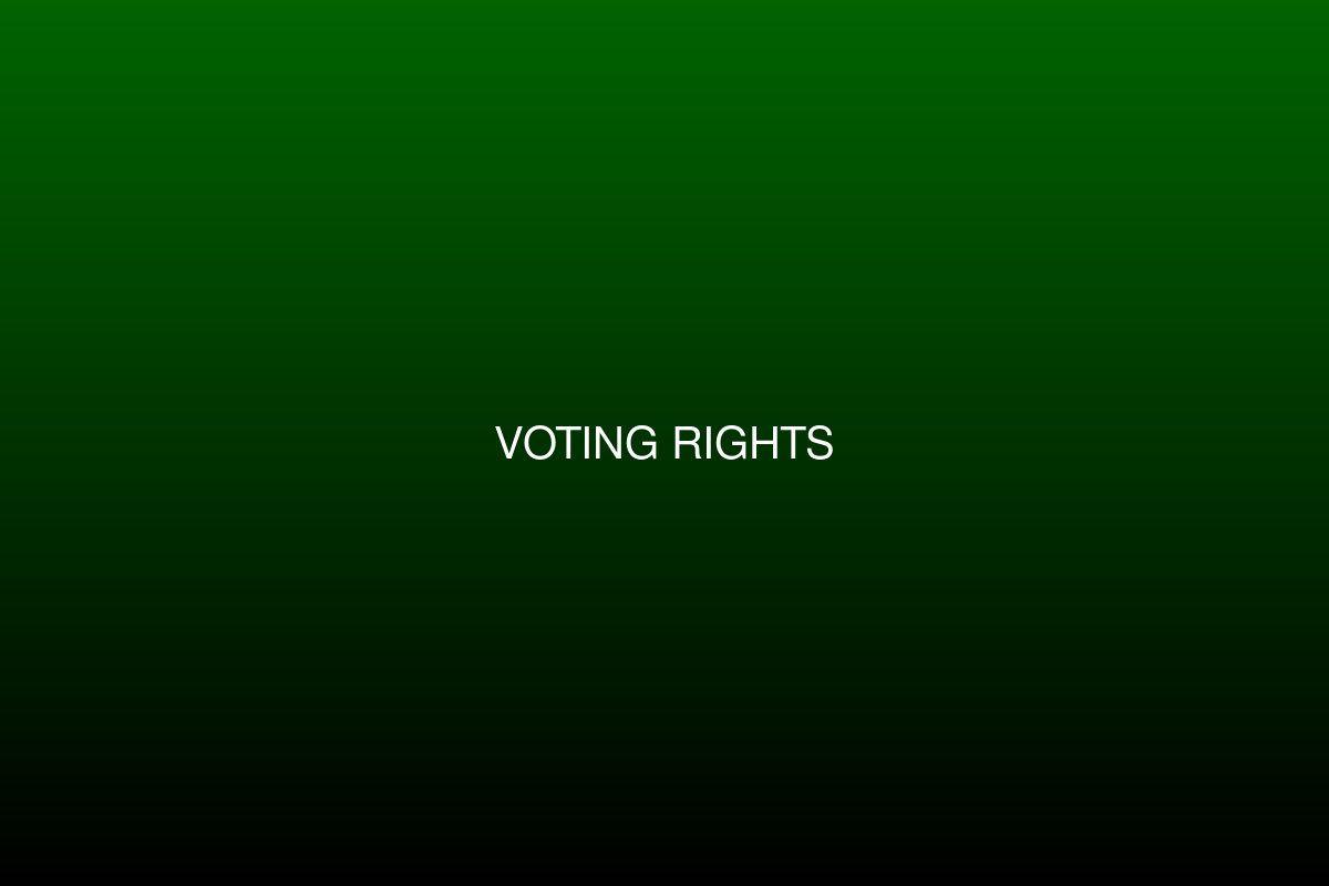 Web3 voting rights illustration